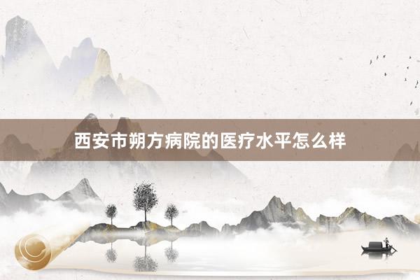 西安市朔方病院的医疗水平怎么样