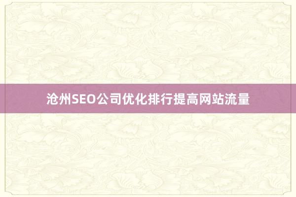 沧州SEO公司优化排行提高网站流量