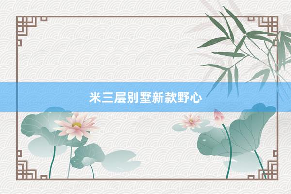 米三层别墅新款野心